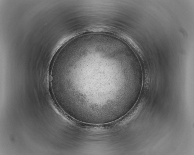 X0000112810986200909041450