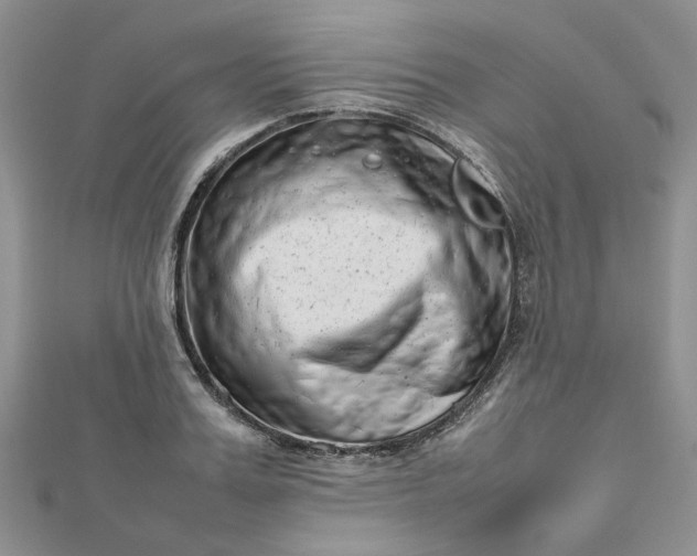 X0000112810987200909041450