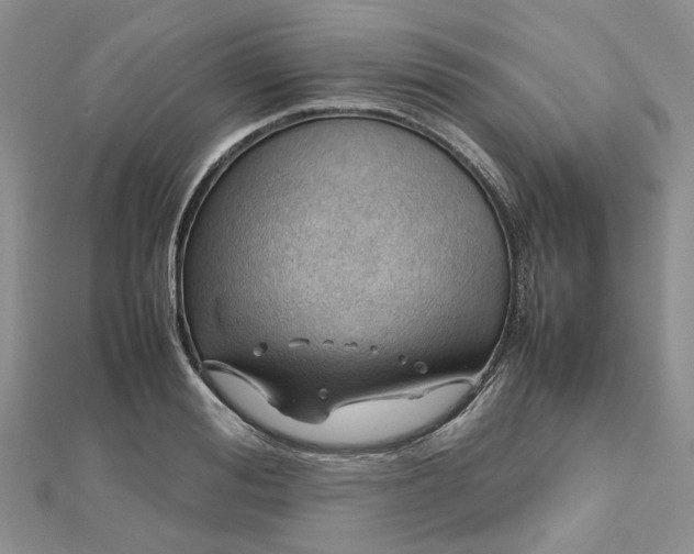 X0000112810988200909041450