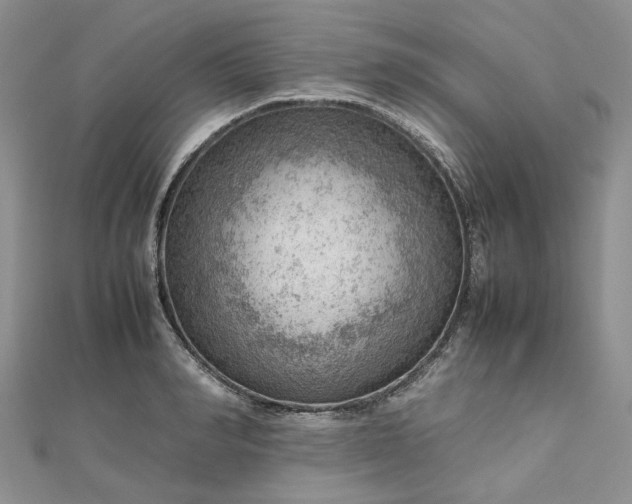 X0000112810990200909041450