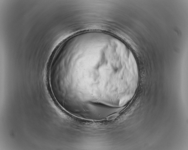 X0000112810991200909041450