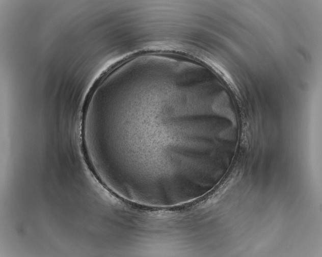 X0000112810992200909041450