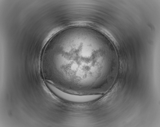 X0000112810994200909041450