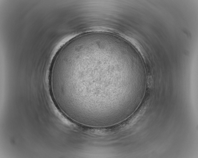 X0000112810995200909041450