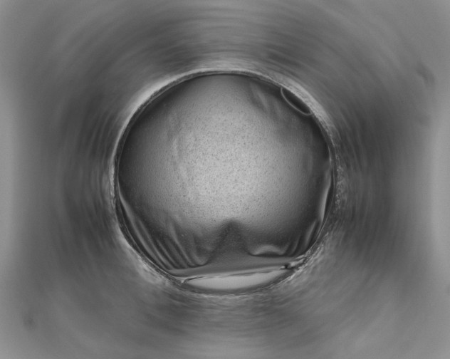 X0000112810996200909041450