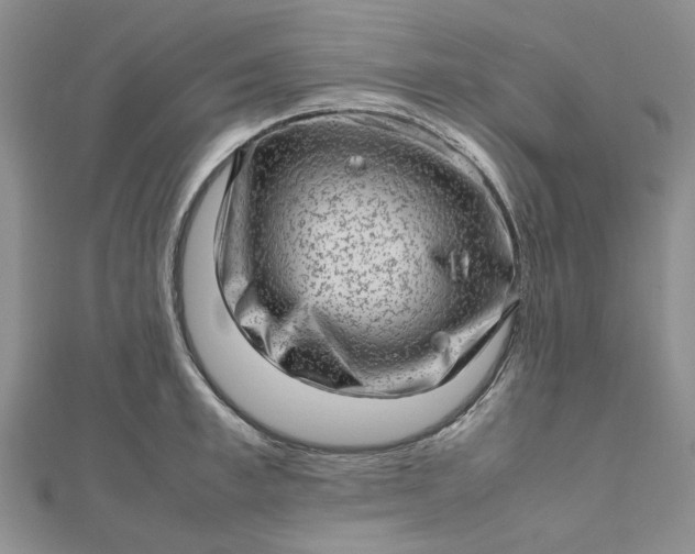 X0000112810997200909041450