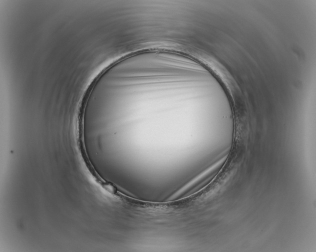 X0000112810999200909041450