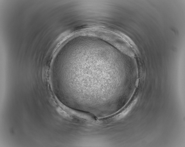X0000112811001200909041450