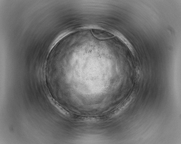 X0000112811002200909041450