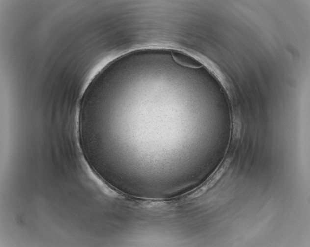 X0000112811006200909041450
