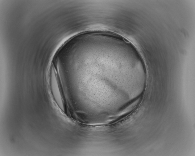 X0000112811008200909041450
