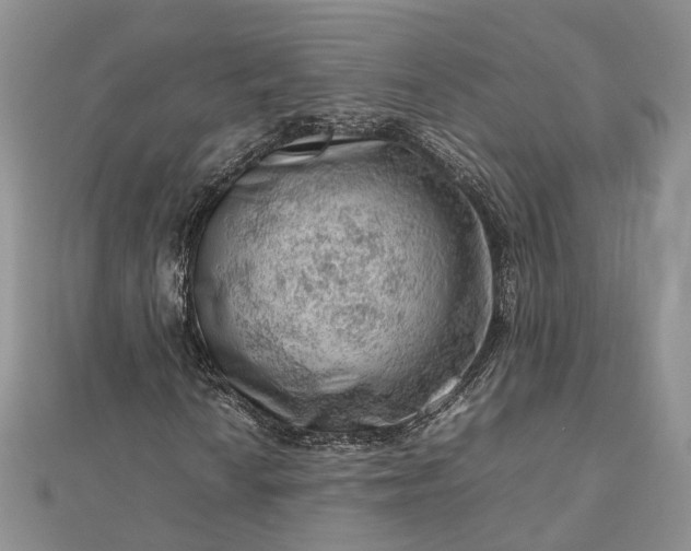 X0000112811010200909041449