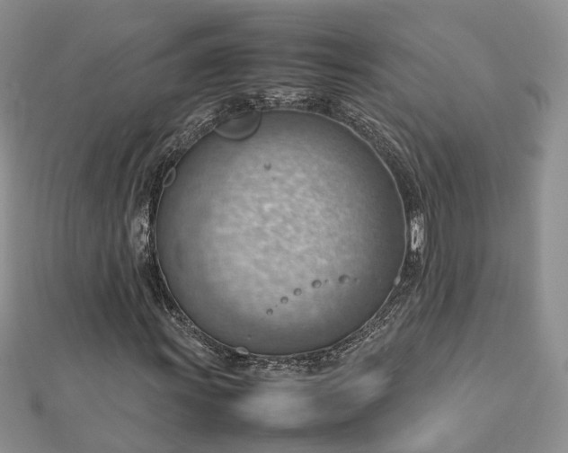 X0000112811011200909041449