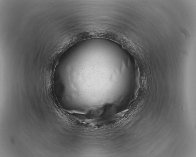 X0000112811012200909041449