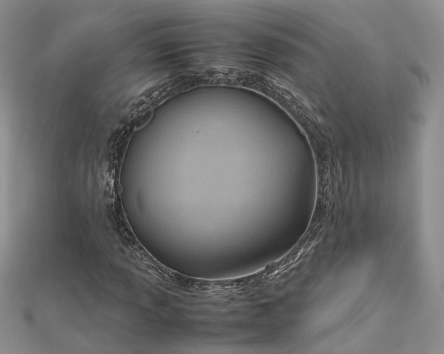 X0000112811013200909041449
