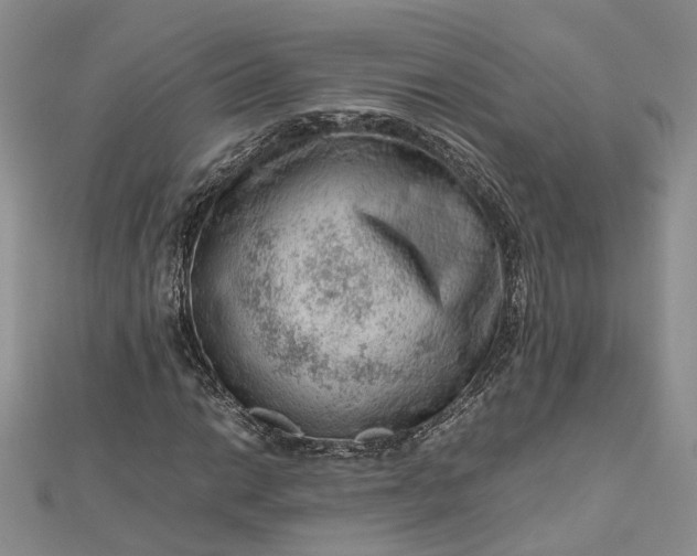 X0000112811014200909041449