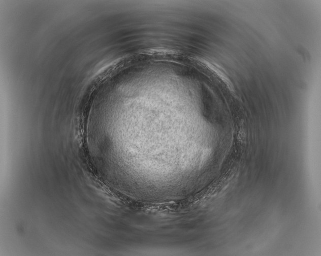 X0000112811015200909041449