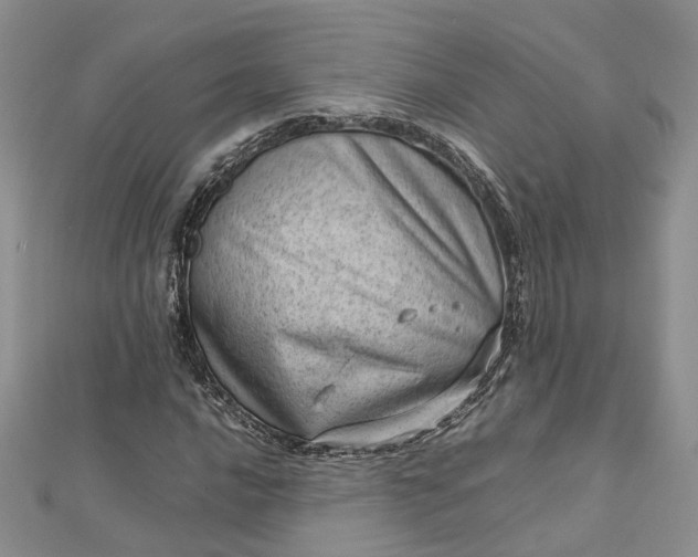 X0000112811016200909041449