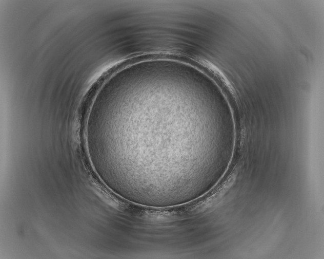 X0000112811019200909041449