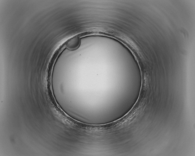 X0000112811020200909041449