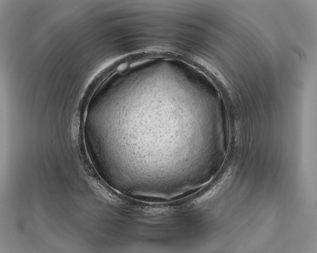 X0000112811021200909041449