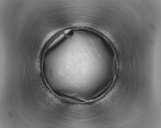 X0000112811022200909041449