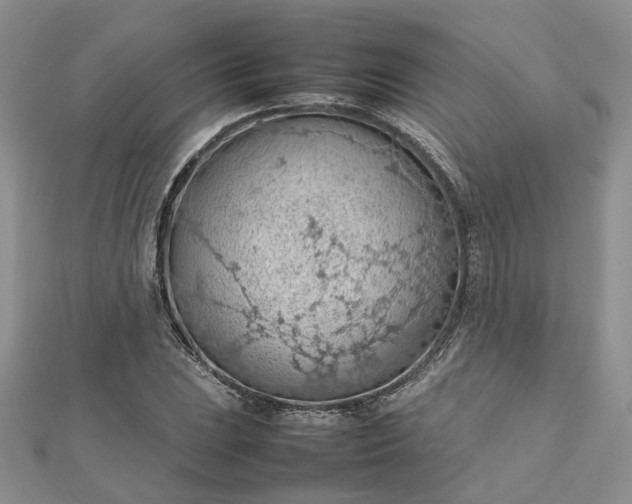 X0000112811023200909041449