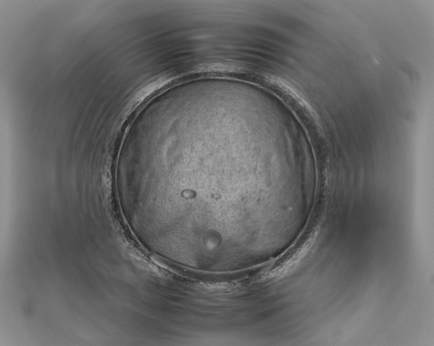 X0000112811025200909041449