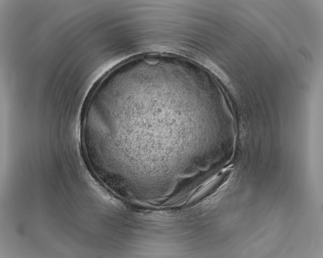 X0000112811028200909041450