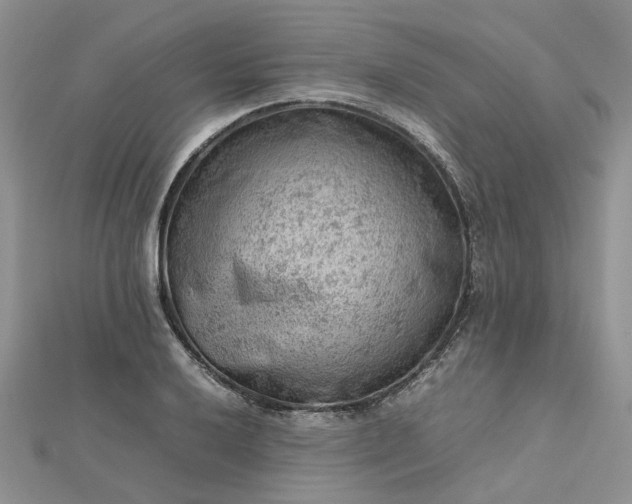 X0000112811032200909041450