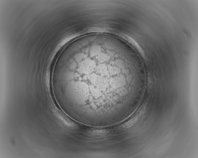 X0000112811035200909041450