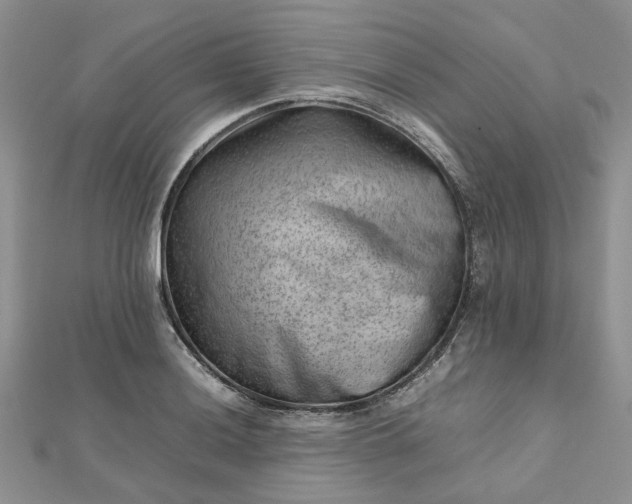 X0000112811036200909041450