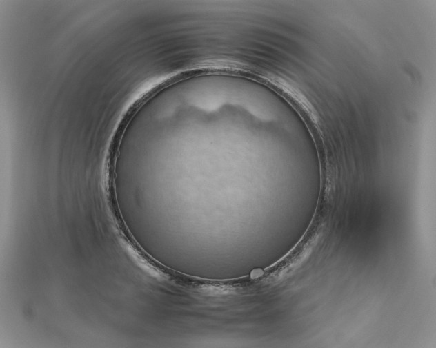 X0000112811037200909041450