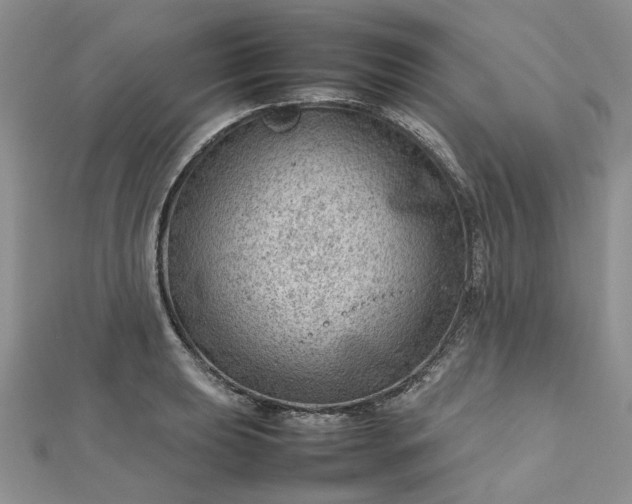X0000112811039200909041450