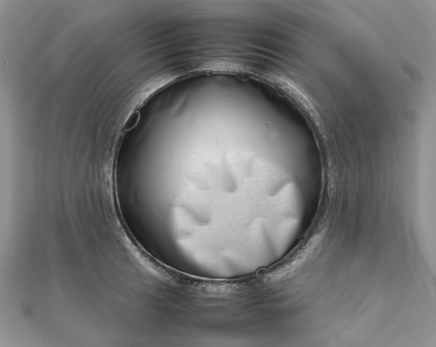 X0000112811041200909041450