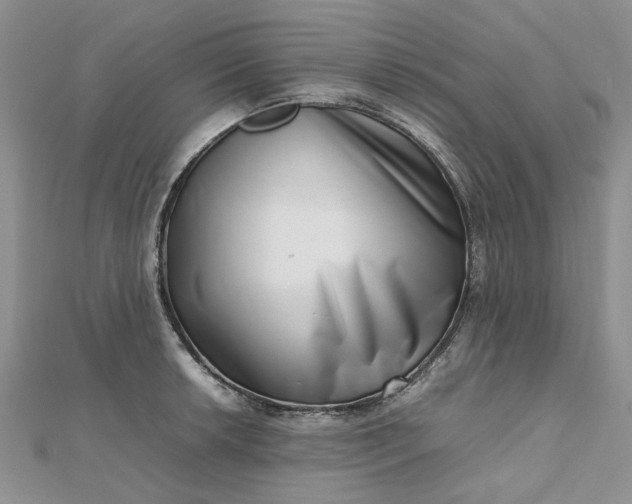 X0000112811042200909041450
