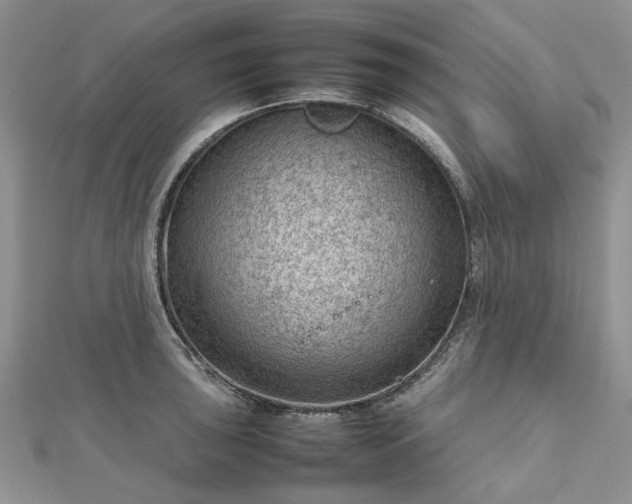 X0000112811043200909041450