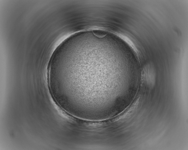 X0000112811047200909041450
