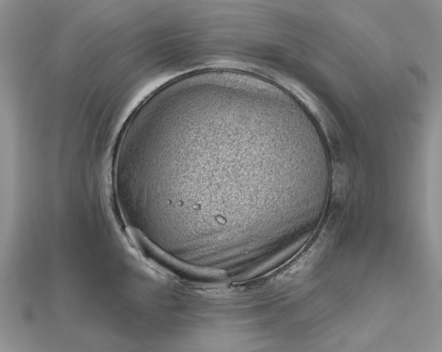 X0000112811048200909041450