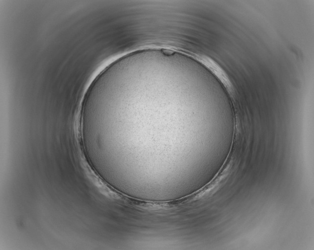 X0000112811052200909041450