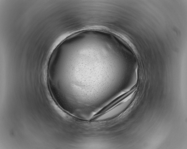 X0000112811054200909041450
