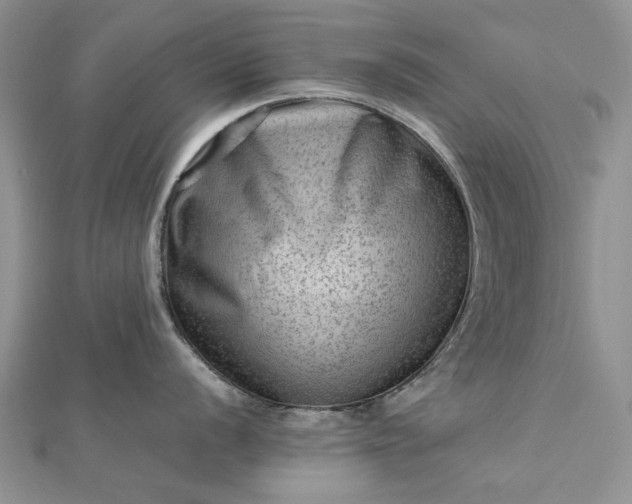 X0000112811056200909041450
