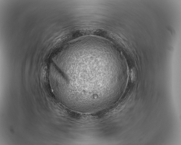 X0000112811059200909041449