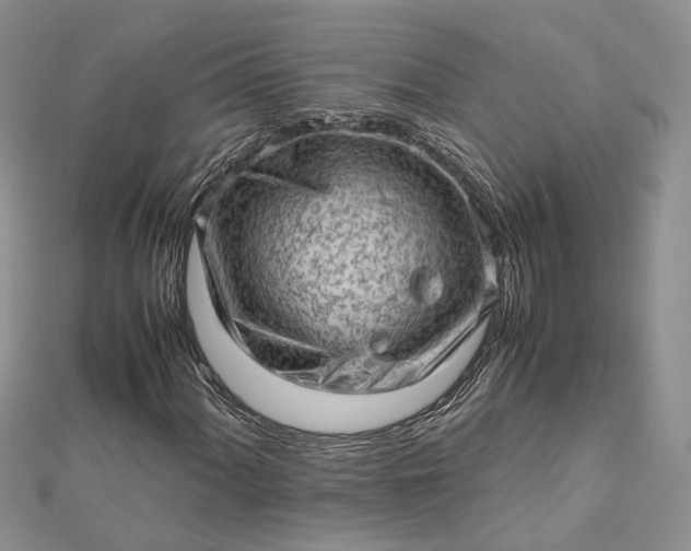 X0000112811060200909041449
