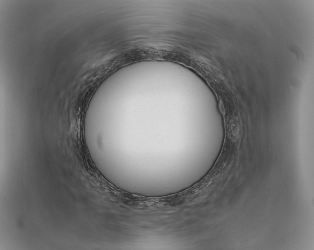 X0000112811061200909041449