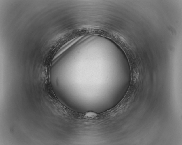 X0000112811062200909041449