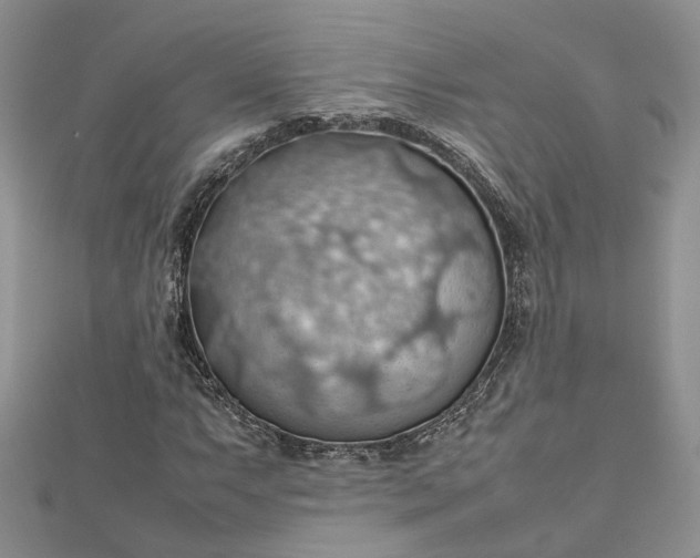 X0000112811063200909041449