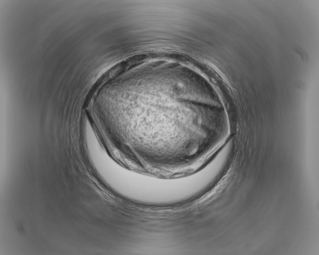 X0000112811065200909041449