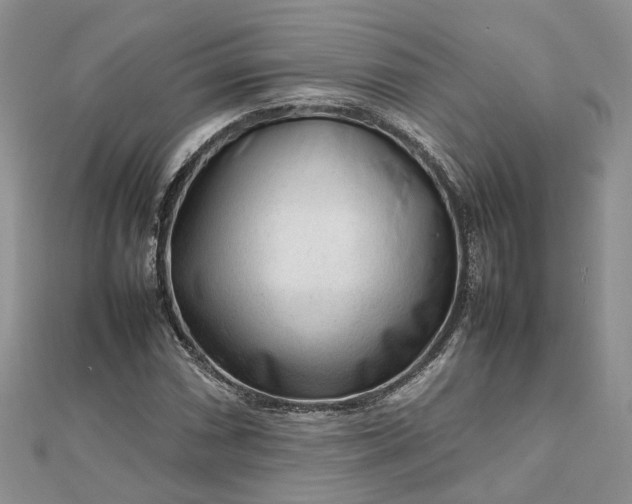 X0000112811066200909041449