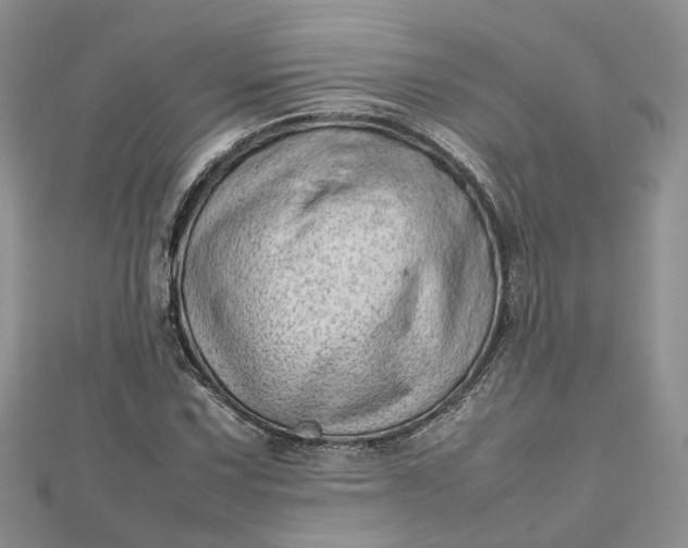 X0000112811067200909041449